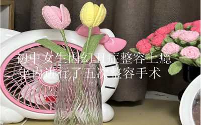 初中女生因幻丑症整容上瘾 一年内进行了五次整容手术