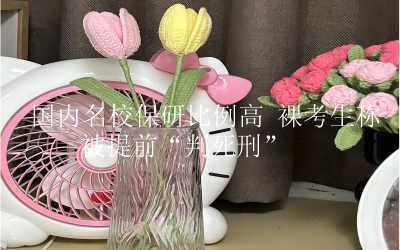 国内名校保研比例高 裸考生称被提前“判死刑”