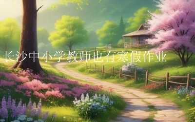 长沙中小学教师也有寒假作业